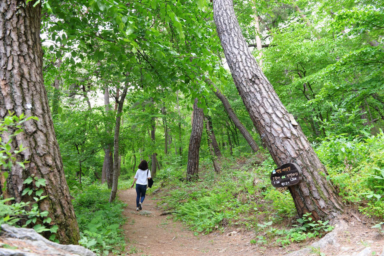 공주 마곡사 백범길