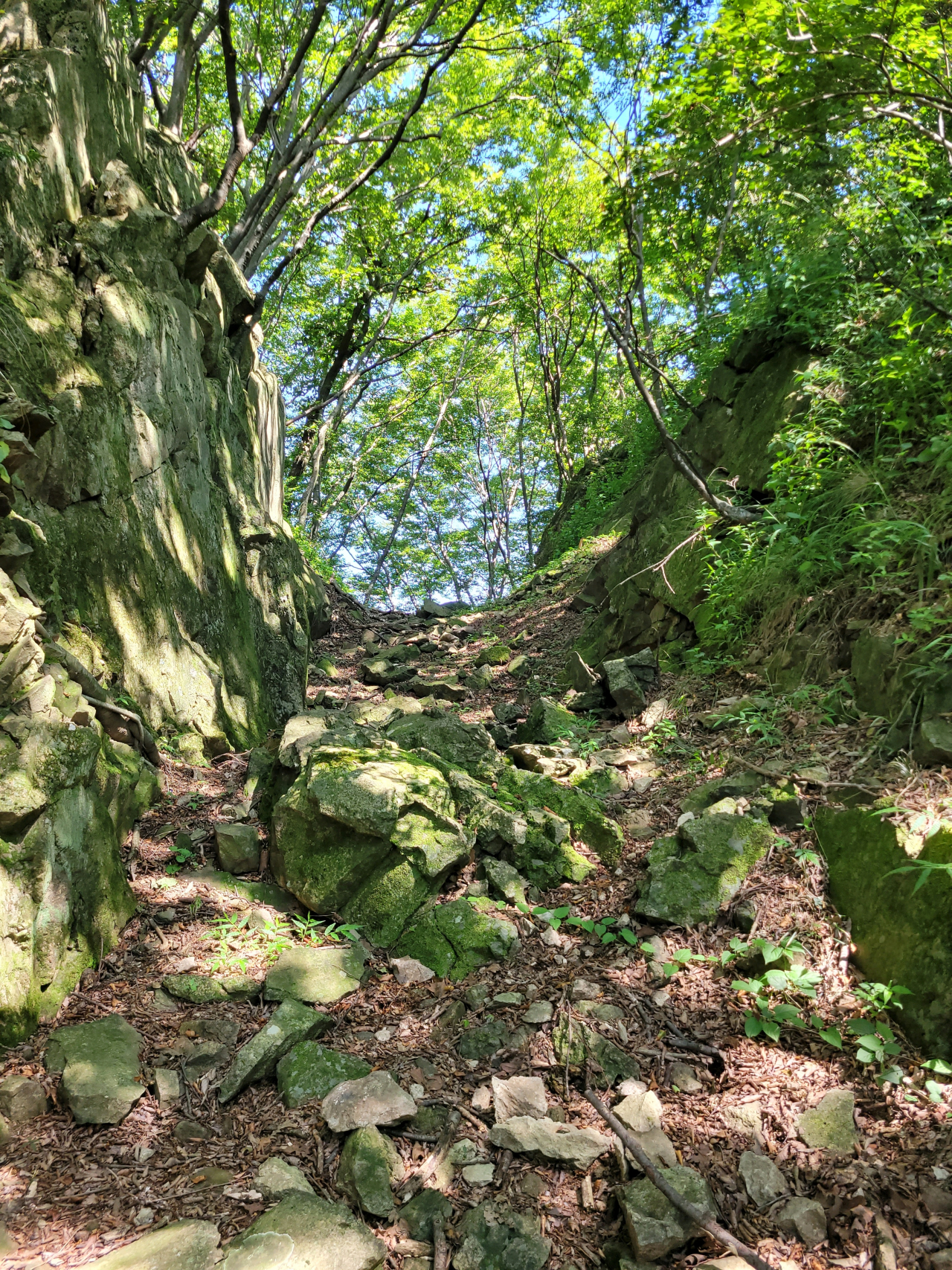 길재 정상부