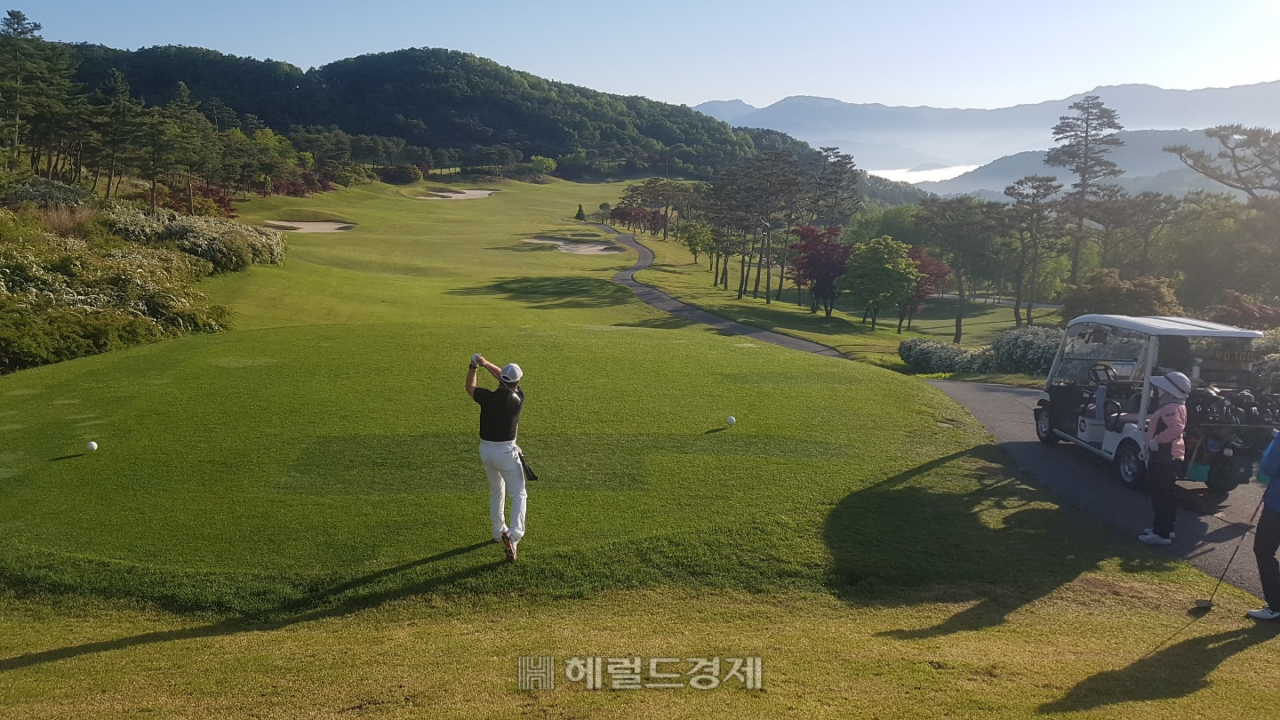 사진은 기사 내용과 상관없음.