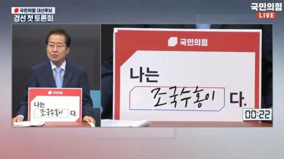 홍준표 국민의힘 의원 패러디물. [온라인 커뮤니티 캡처]