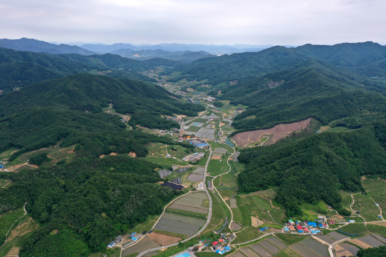2022년 산림청의 선도 산림경영단지로 선정된 충북 음성군. 산림청은 음성군외에도 강원 횡성, 전북 장수군 등 3곳을 선도 산림경영단지로 17일 선정 발표했다.