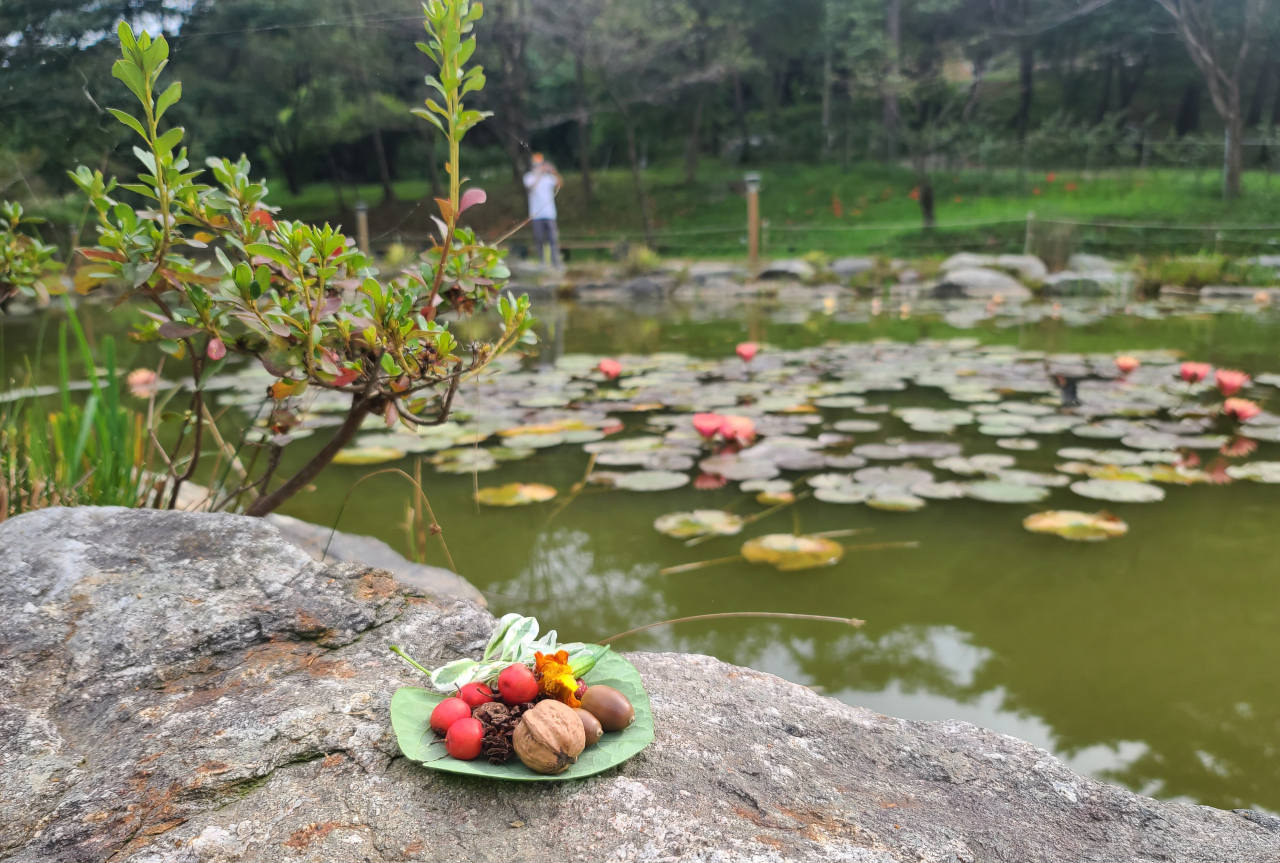 사진맛집이 된 성지, 당진 솔뫼·신리·왜목·난지도 [함영훈의 멋·맛·쉼]