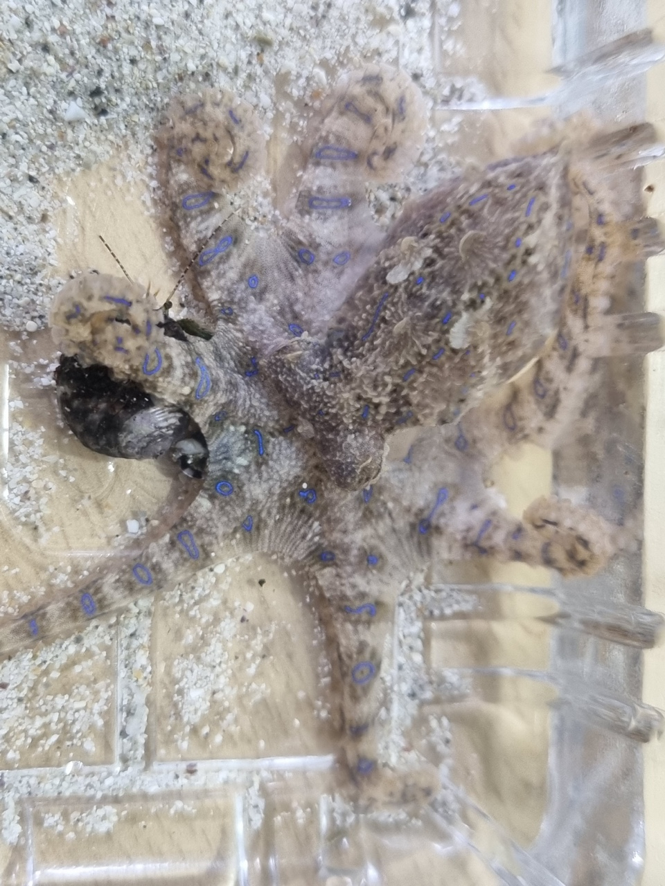 연합
