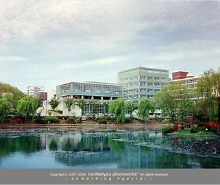 전남대학교