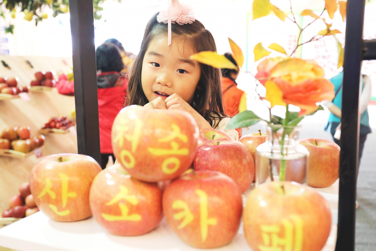2019 청송사과축제 모습.[청송군 제공]