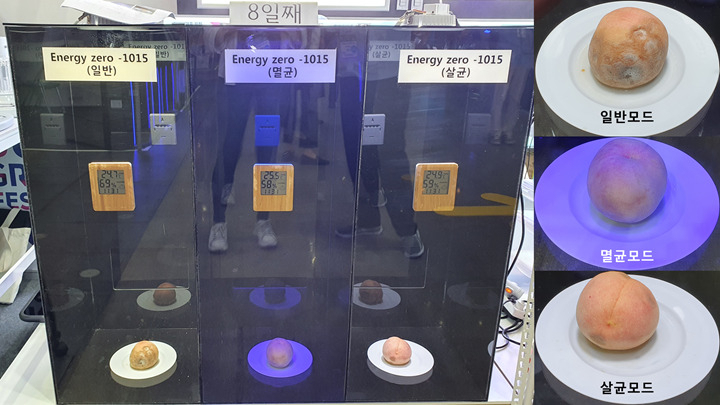 일반조명, 멸균조명, 살균조명을 비교한 복숭아 장기 보관 연구 결과.[고려대학교 제공]