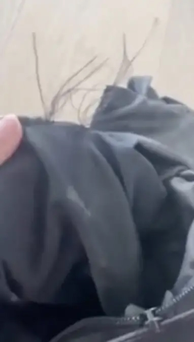 샤키라가 멧돼지 한 쌍의 공격을 받아 가방이 찢어졌다며 인스타그램 스토리에 올린 사진. [‘버즈피드’ 홈페이지 캡처]
