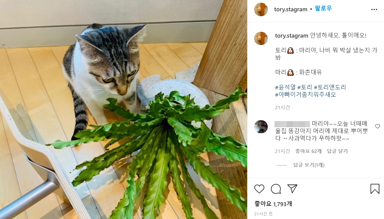 [윤석열 전 검찰총장 반려견 인스타그램 캡처]