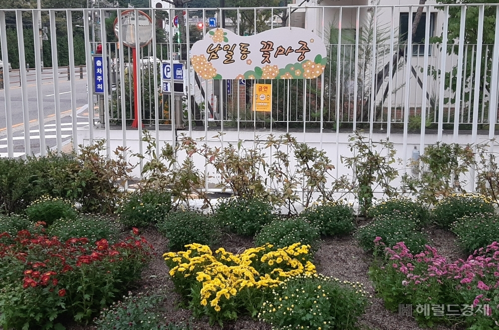 서대문구 남가좌1동 환경 취약 지역 꽃밭 변신