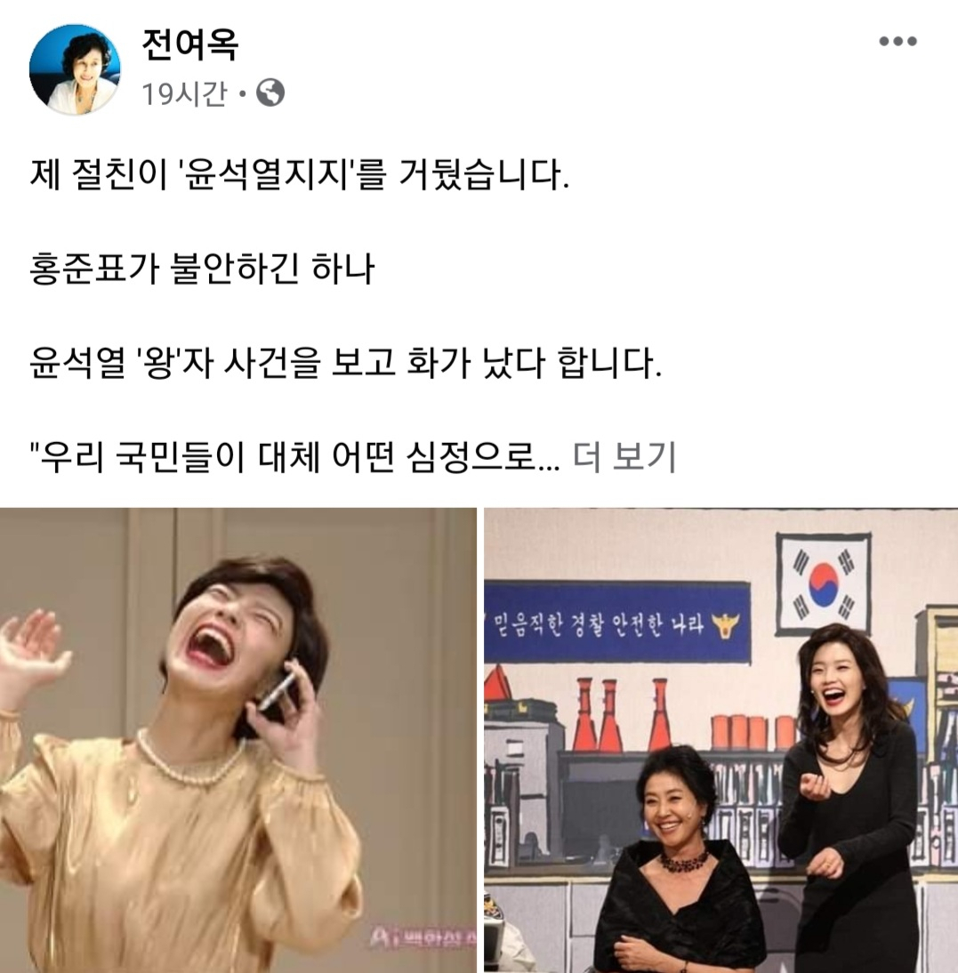 [전여옥 페이스북 캡처]