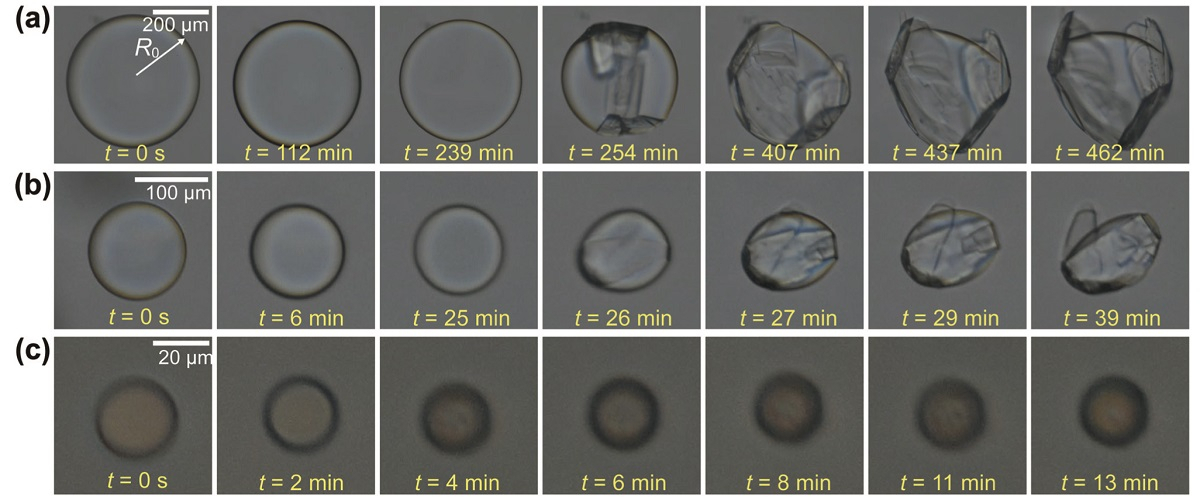 이멀젼 크기별 계면에서 자라나는 소금결정의 패턴 비교.[KAIST 제공]