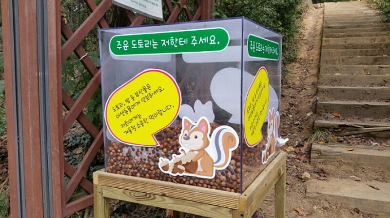 서울 강서구는 국립공원이 아닌데도 동물들의 겨울철 식량 확보를 위해 도토리 수거함을 설치했다.