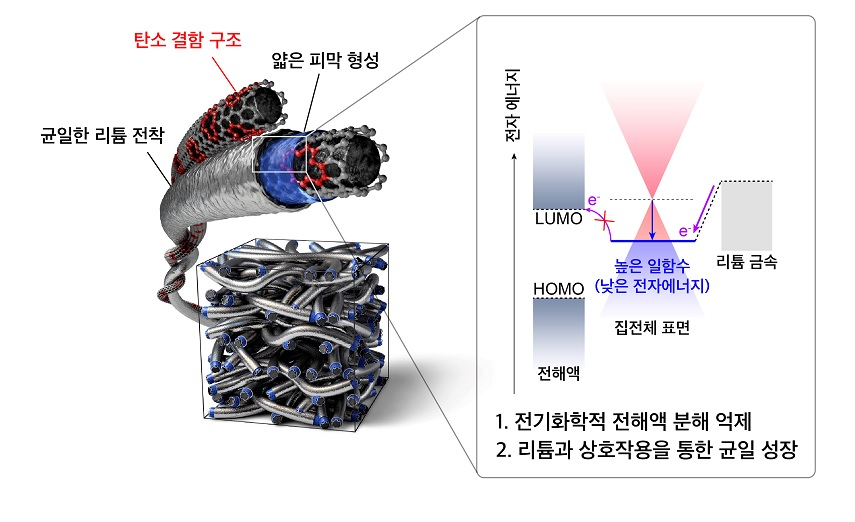 높은 일함수를 가지는 탄소 결함 구조 표면을 통한 전해액 분해 억제 및 균일한 리튬 금속 성장. [KAIST 제공]