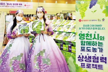 모델들이 샤인머스캣을 들고 롯데마트의 ‘영천시와 함께하는 샤인머스캣 대축제’를 홍보하고 있다. [롯데마트 제공]