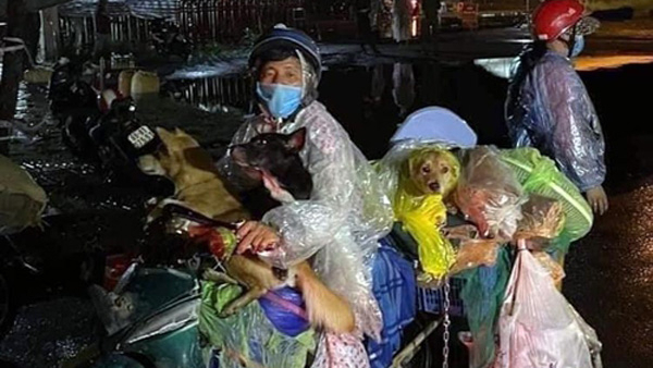 오토바이 한대에 나눠 탄 팜 민 흥의 가족과 반려견들. [연합]
