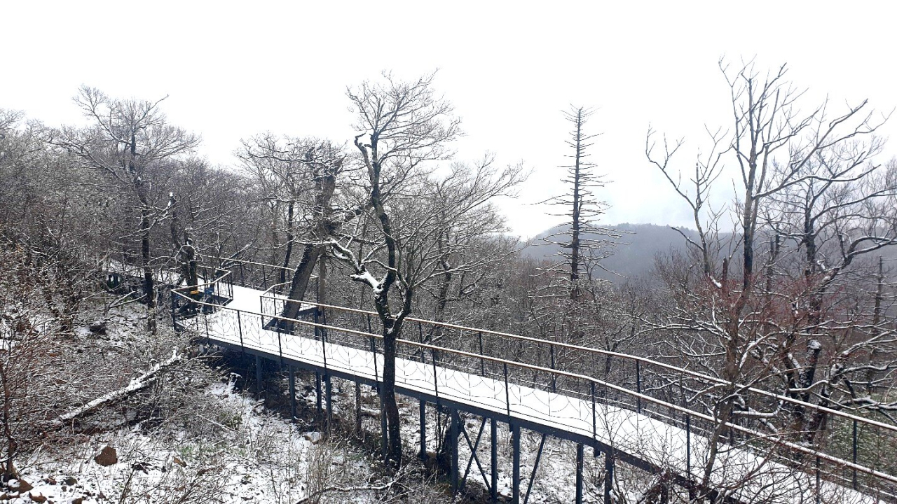 용평 발왕산 겨울 산책 [용평리조트 제공]