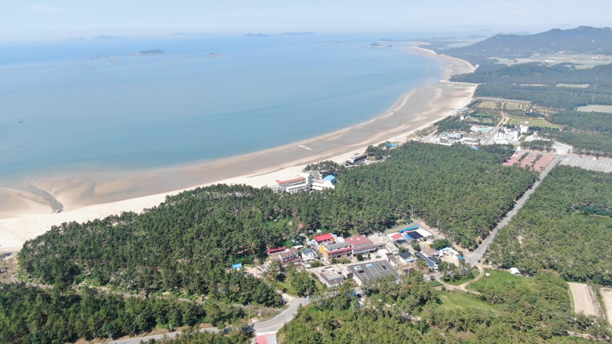 신안 치유의 숲
