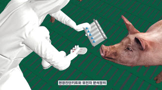 ETRI 연구진이 개발한 기술로 빠르고 정확하게 감염병 이상 유무를 진단하는 모습을 설명한 CG. [ETRI 제공]