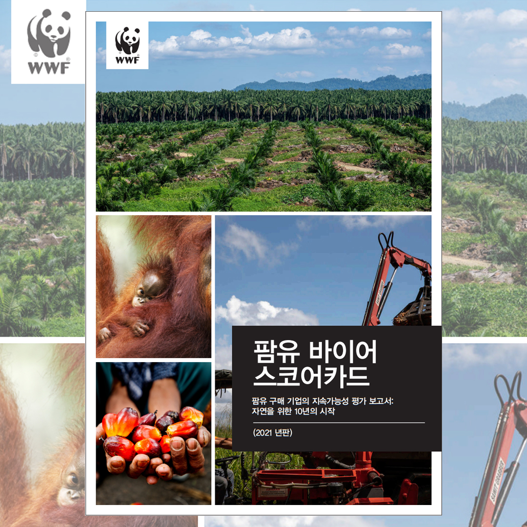 [WWF 제공]