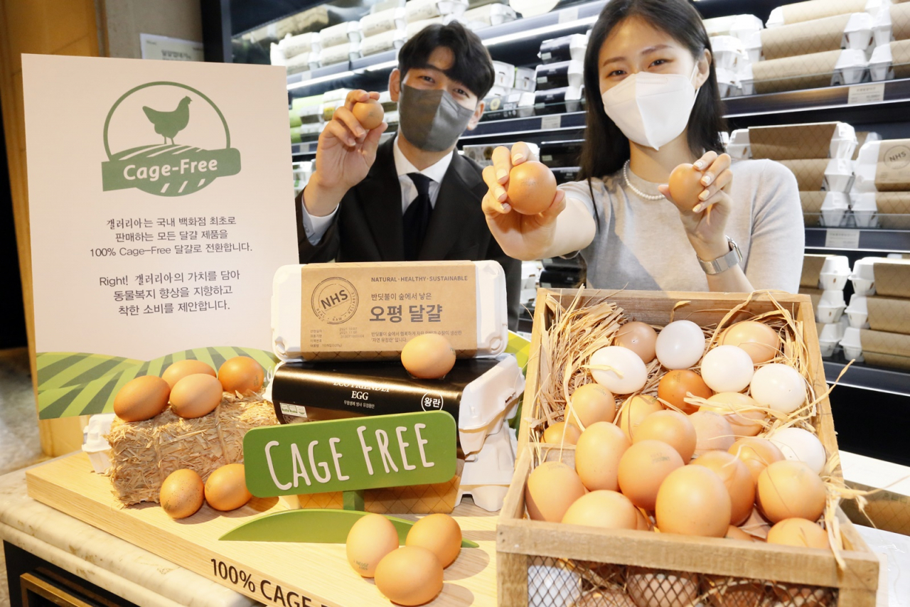 갤러리아백화점은 백화점 업계 최초로 ‘100% 케이지-프리(Cage - Free)’ 전환을 선언했다.[갤러리아백화점 제공]