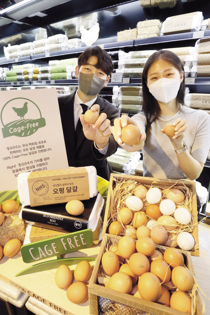 갤러리아백화점이 국내 백화점 중 최초로 식품관에서 판매하는 모든 달걀을 케이지 프리(Cage-Free) 달걀로 전환한다고 21일 밝혔다. 사진은 케이지-프리 달걀을 선보이는 모델들. [갤러리아 제공]