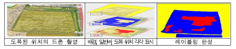 ［국립종자원 제공］