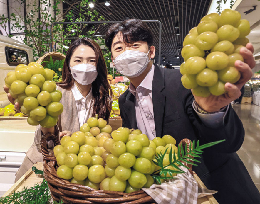 서울 강남구 현대백화점 무역센터점에서 직원들이 대황옥 포도를 선보이고 있다. [현대백화점 제공]