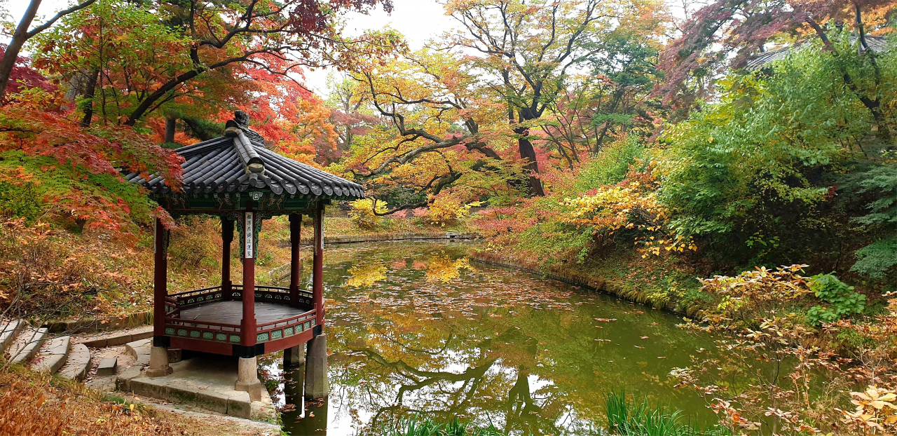 창덕궁 관람정