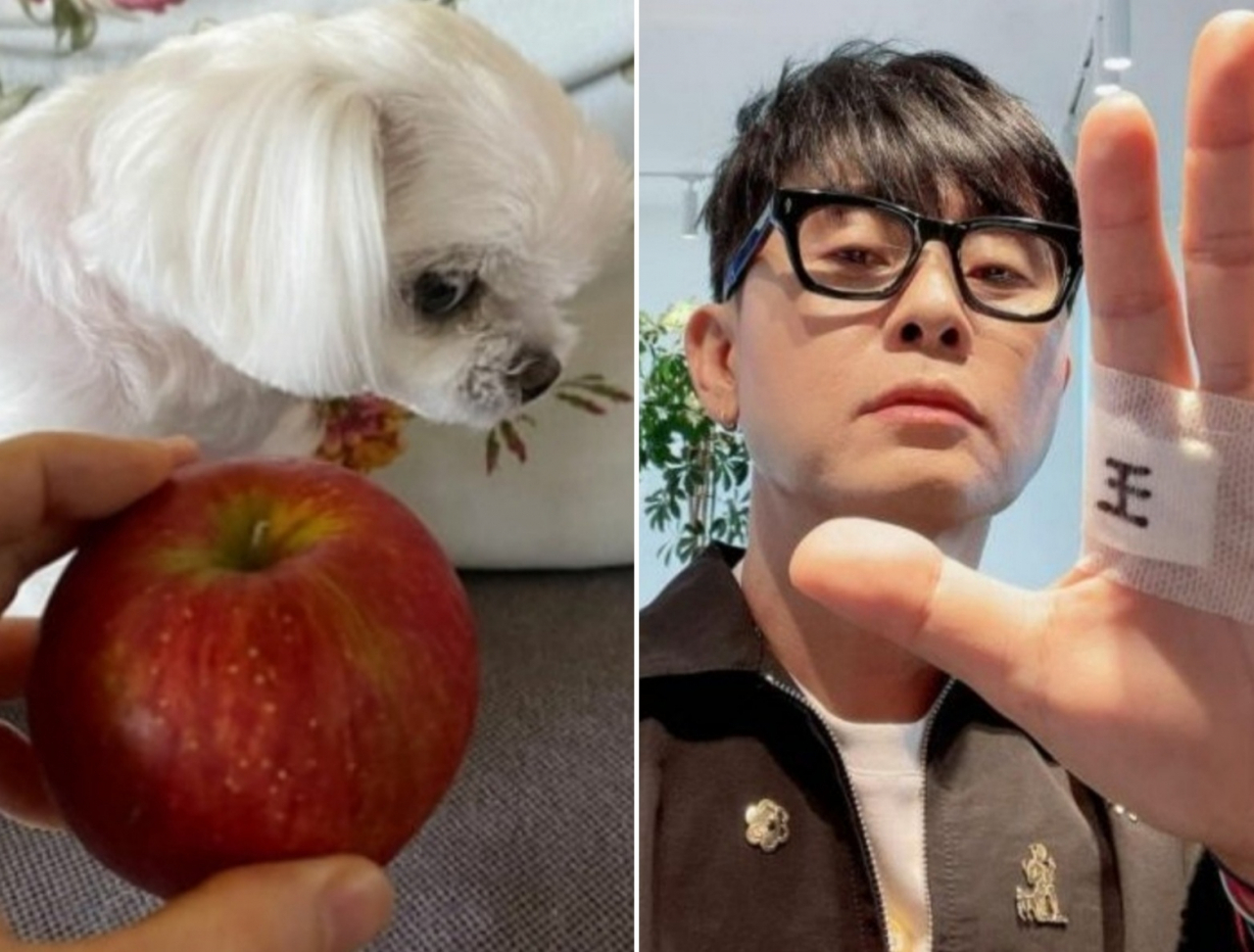 가수 이승환씨가 윤석열 전 검찰 총장의 '개 사과' 논란에 올린 사진(왼쪽). 이승환은 지난 2일에도 손가락에 '왕(王)'자 반창고를 붙이고 윤 전 총장의 손바닥 '王'자 표기를 패러디했다. [페이스북 캡처]