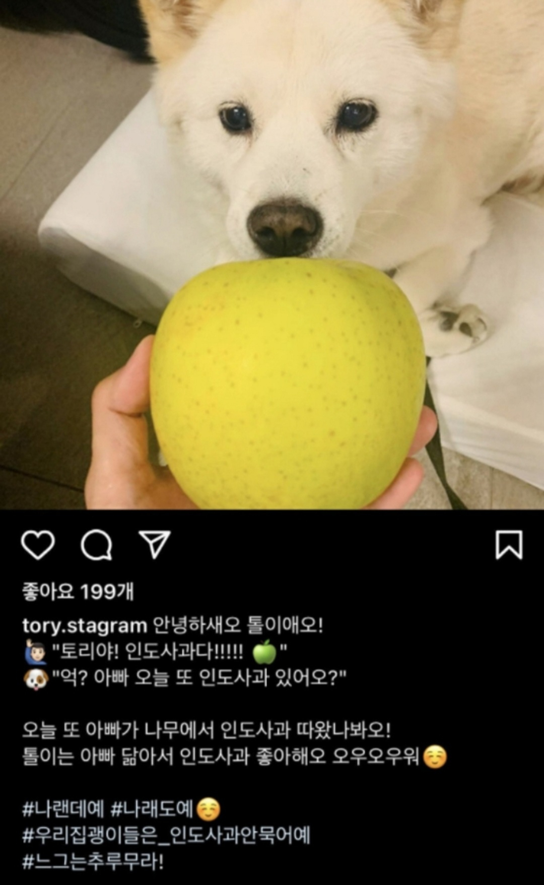 윤석열 전 검찰총장 반겨견 토리 인스타그램 캡처
