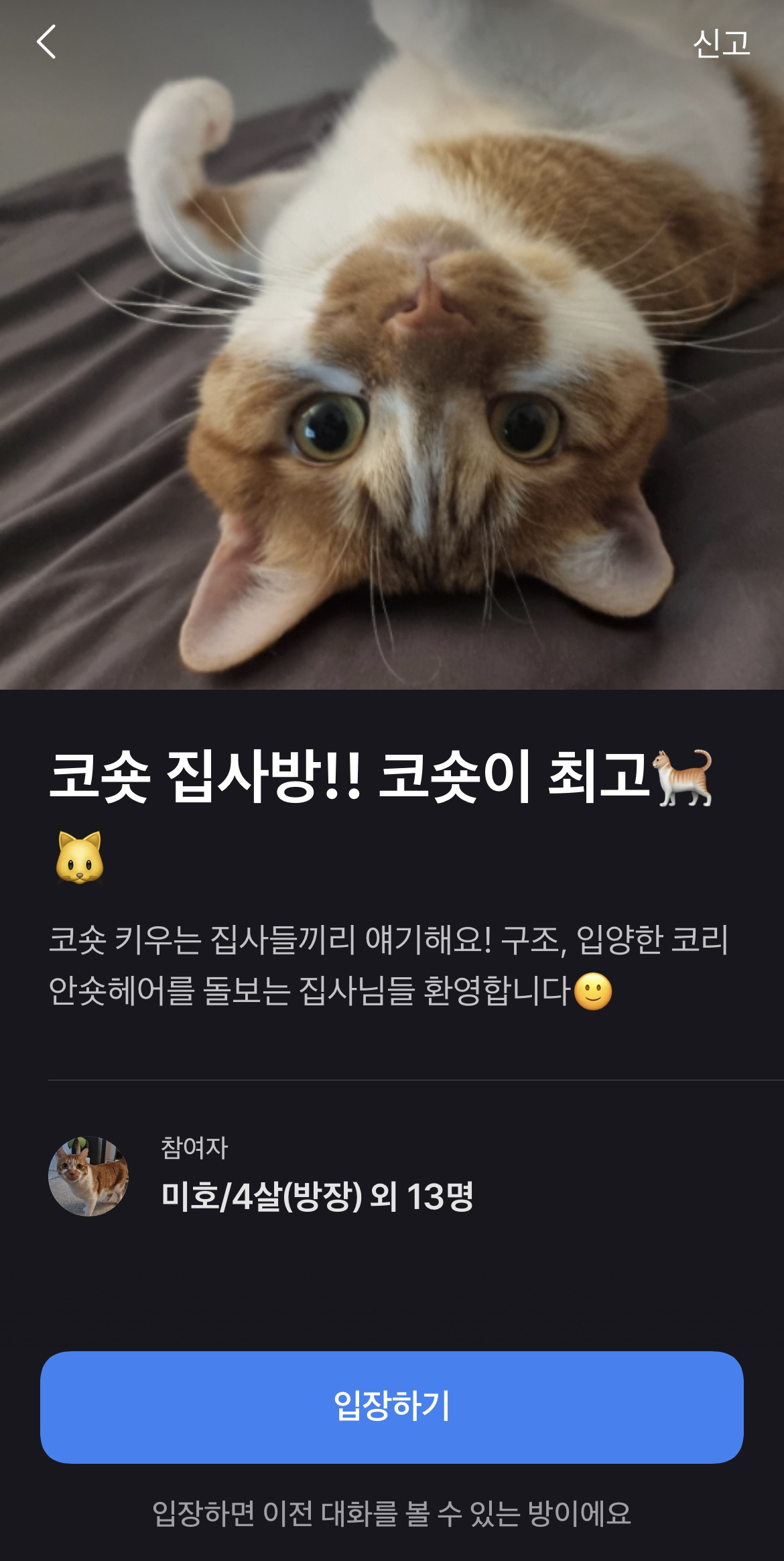 토스는 지난달부터 ‘재테크’ ‘게임’ ‘펫(반려동물)’ 등 관심사를 공유할 수 있는 익명의 커뮤니티 서비스(오픈채팅)을 시범적으로 운영하고 있다. [토스앱 캡처]