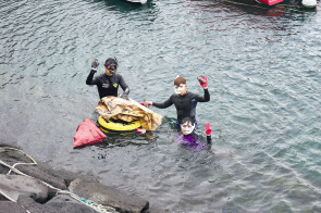 제주 환경정화여행