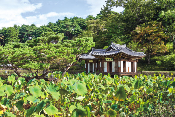 선교장 정자 활래정