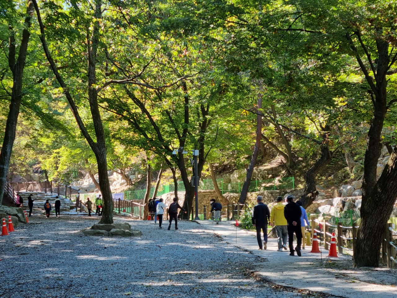 청학밸리리조트