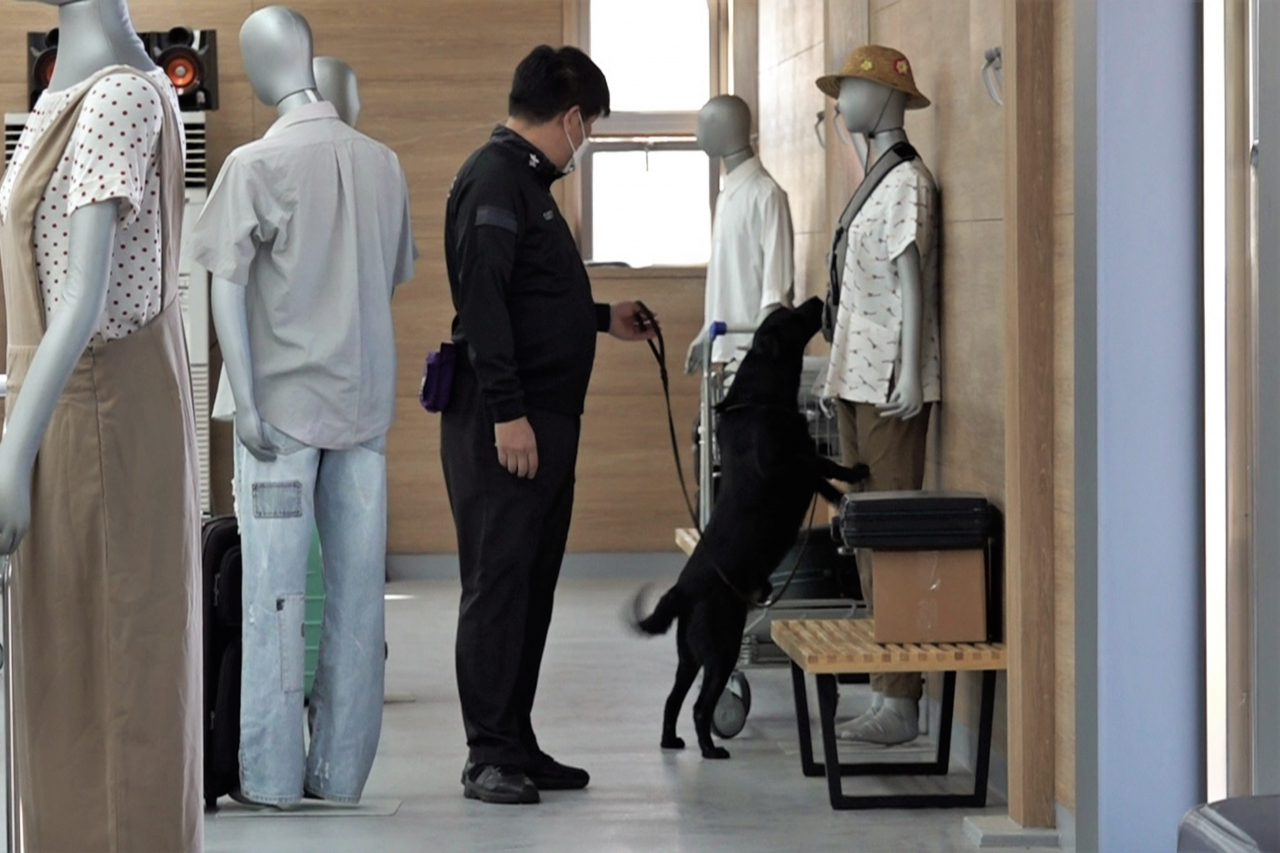 관세청 탐지견훈련센터에서 개최된 제8회 탐지견 경진대회에서 마약을 탐지 하고 있는 관세청팀