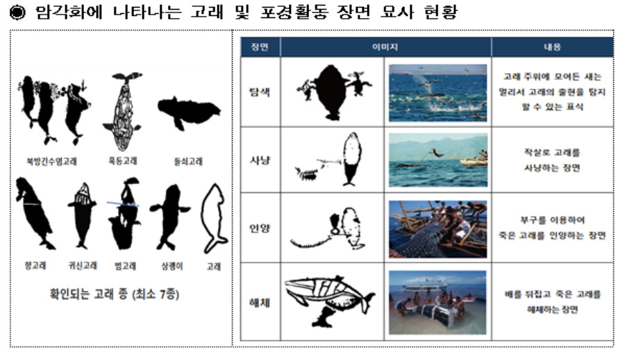 [환경부 제공]