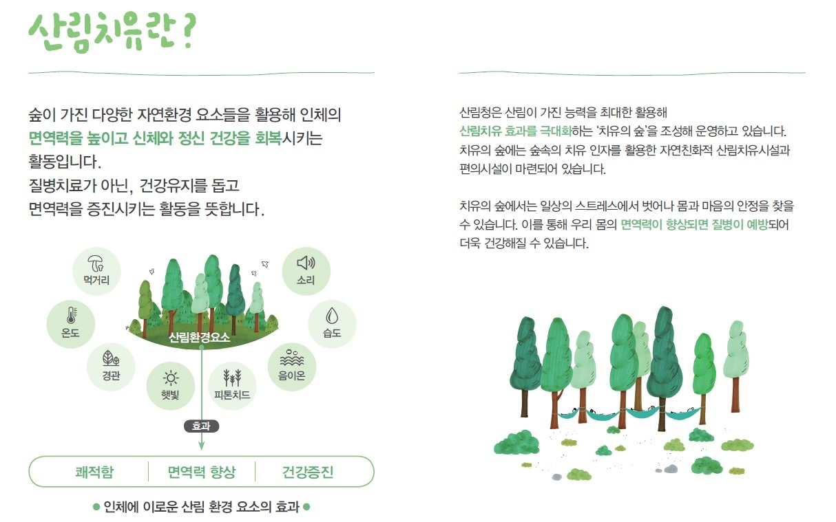 산림치유 개념(제공: 국립 산림과학원)