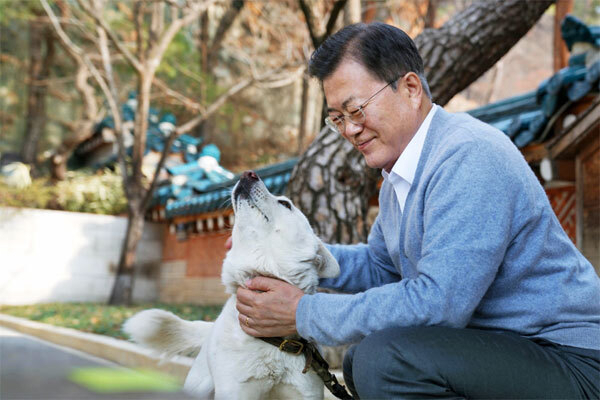 [청와대 제공]
