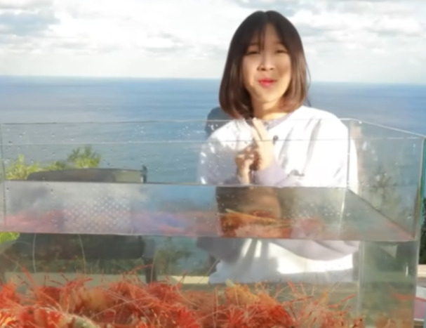 독도의날(10월 25일)을 맞아 독도새우 먹방을 진행한 유튜버 쯔양(오른쪽). 해당 영상은 일본 네티즌으로부터 집단적인 '싫어요'를 받았다. 유튜브가 11일부터 싫어요 숫자를 공개하지 않는 개선작업에 들어가면서 싫어요 테러도 자취를 감추게 될 예정이다. [쯔양 유튜브 채널 갈무리 ]