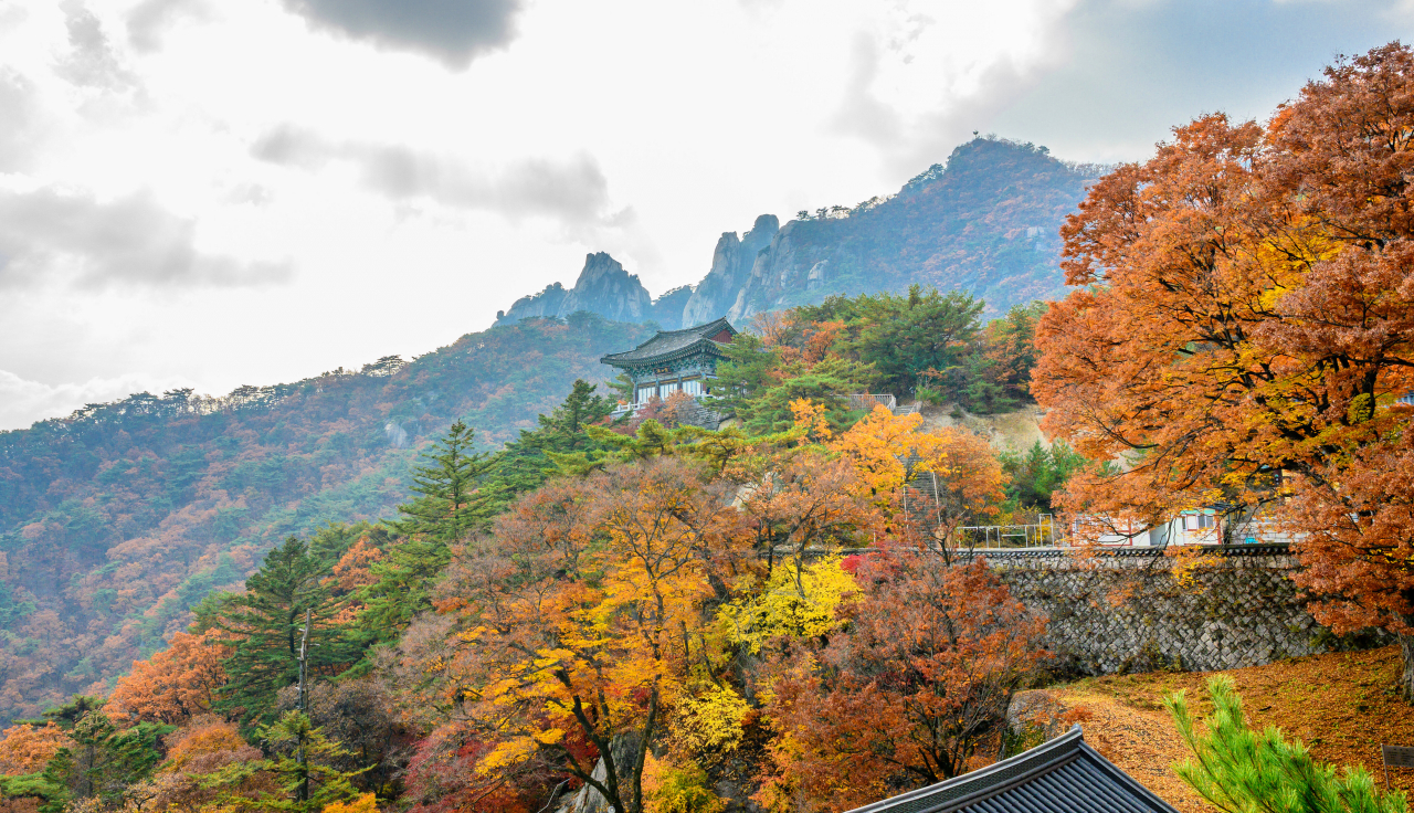 도봉산 망월사 코스