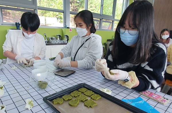 보성 한국차 박물관을 찾은 여중생들이 녹차 음식 체험을 하고 있다. [보성군 제공]