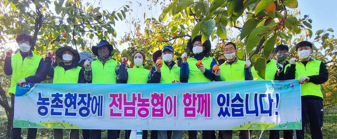 대봉감 재배농가 일손돕는 전남농협