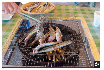 11월 하순부터 동해안은 도루묵, 양미리 제철이다.