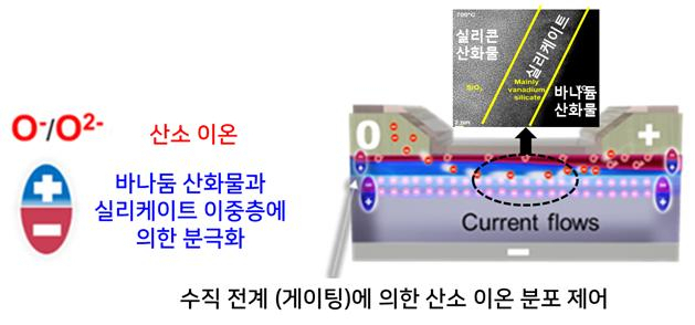 생체 시냅스 닮은 초저전력 ‘멤트랜지스터’ 개발