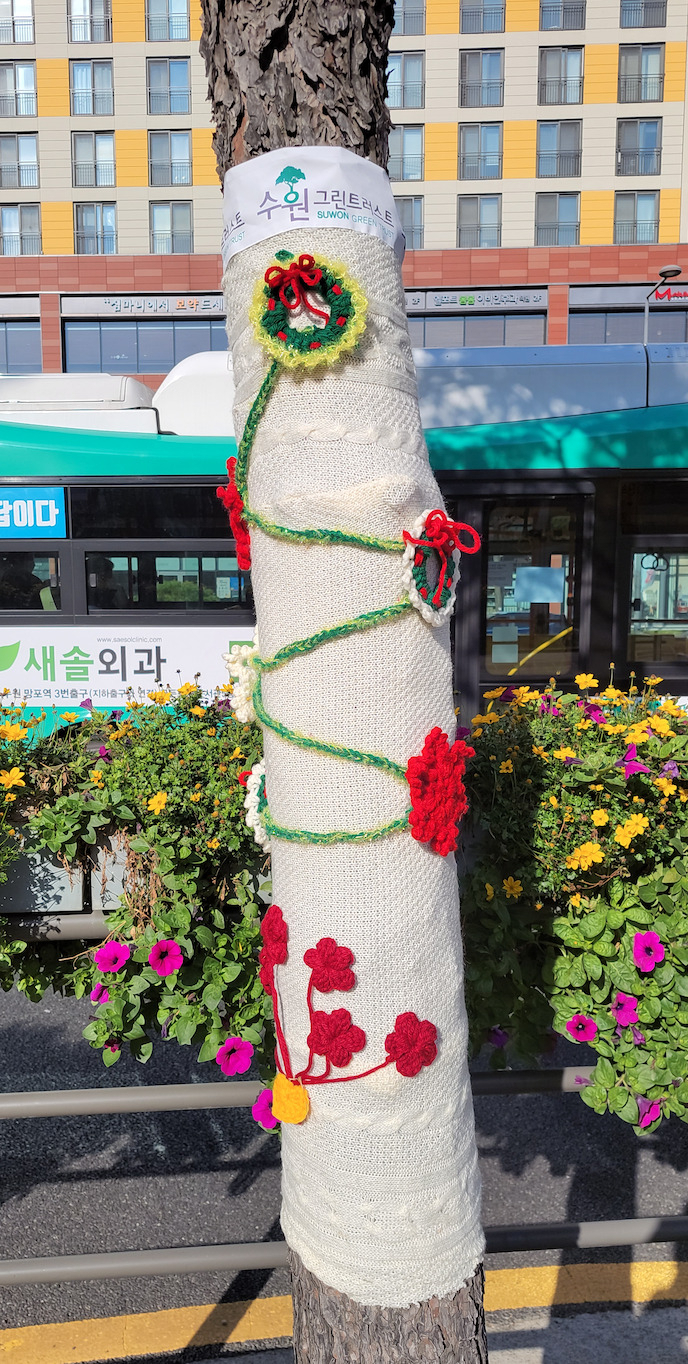 가로수에 겨울옷 입혔다.[수원시 제공]