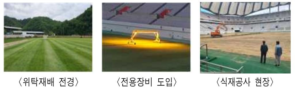 상암 월드컵경기장 하이브리드 잔디 식재 모습. [서울시설공단 제공]