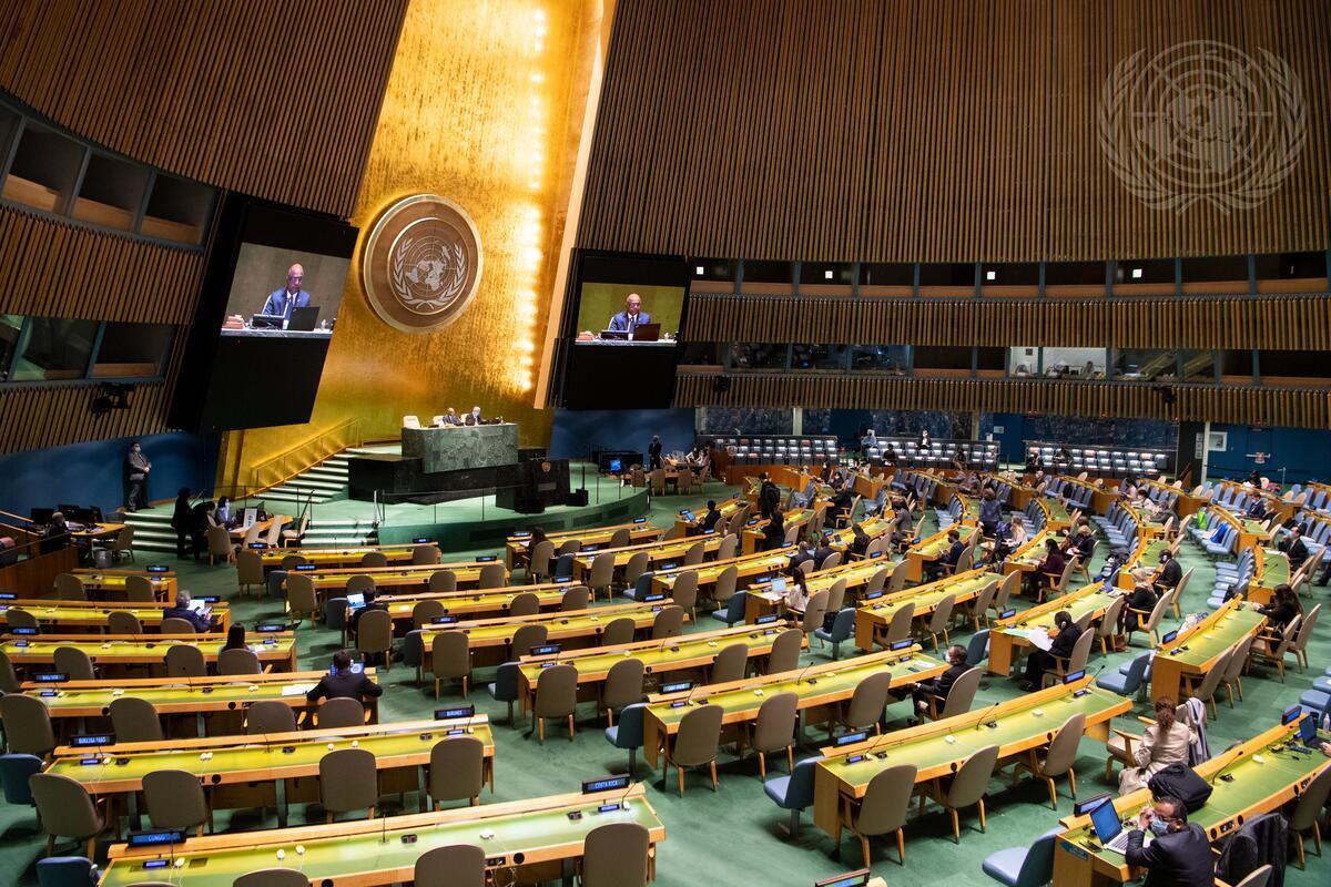 The UN General Assembly hears report of Human Rights Council(UN Photo/Eskinder Debebe)