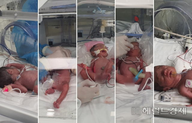 이번 다섯쌍둥이 출산은 육군 17사단 수색대대에 근무 중인 김진수 대위-정보대대 서혜정 대위 군인부부에게서 태어났다. 분만에 필요한 의료인력만 의사와 간호사 총 30여명이 동원돼 이뤄낸 쾌거다. 김태열 기자