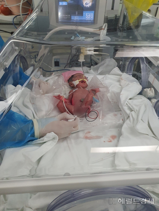 1남4녀로 태어난 다섯쌍둥이 중 한 아기. 김태열 기자