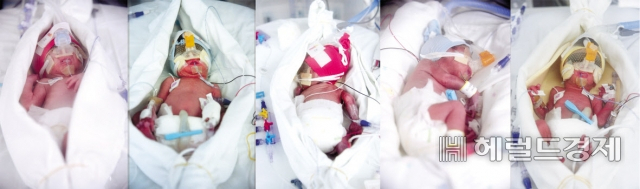 18일 오후 10시 태어난 다섯쌍둥이. [박해묵 기자]